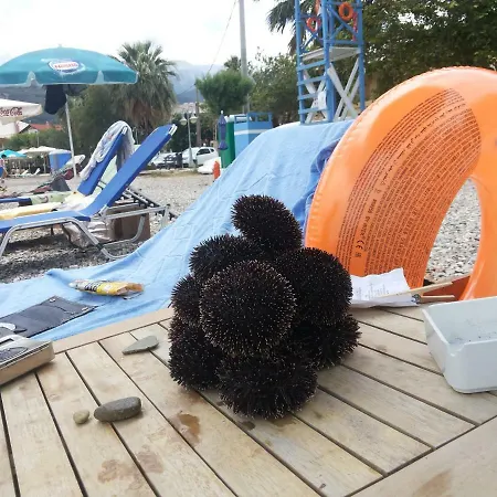 Διαμέρισμα And Business *