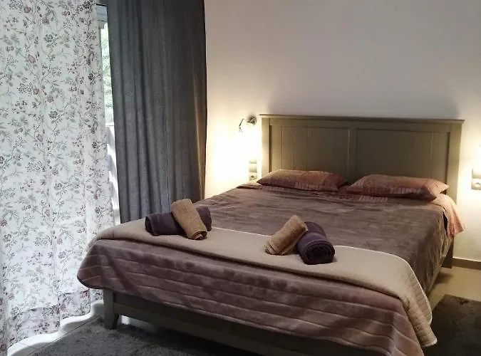 Apartment And Business *