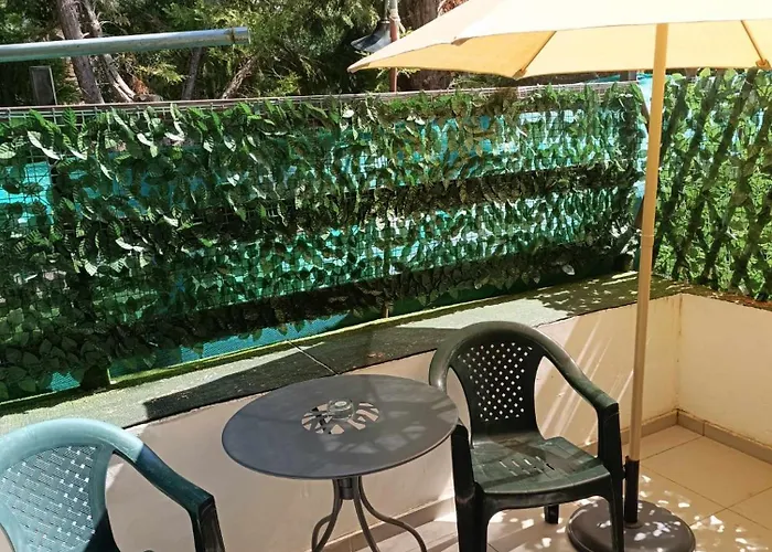 And Business Apartment